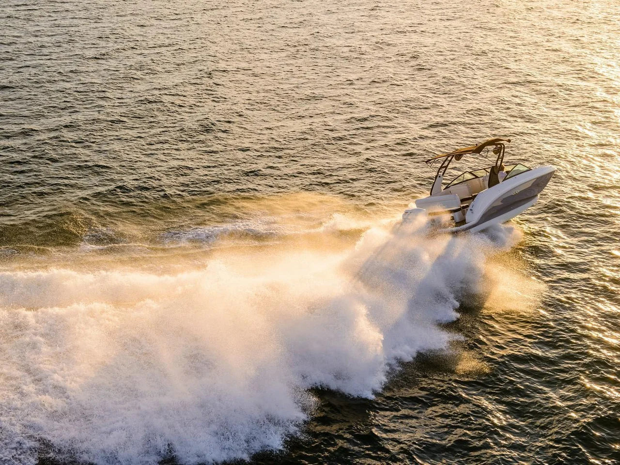2024 Sea Ray SDX 250 Outboard 25.0 feet, Clearwater, Florida #6