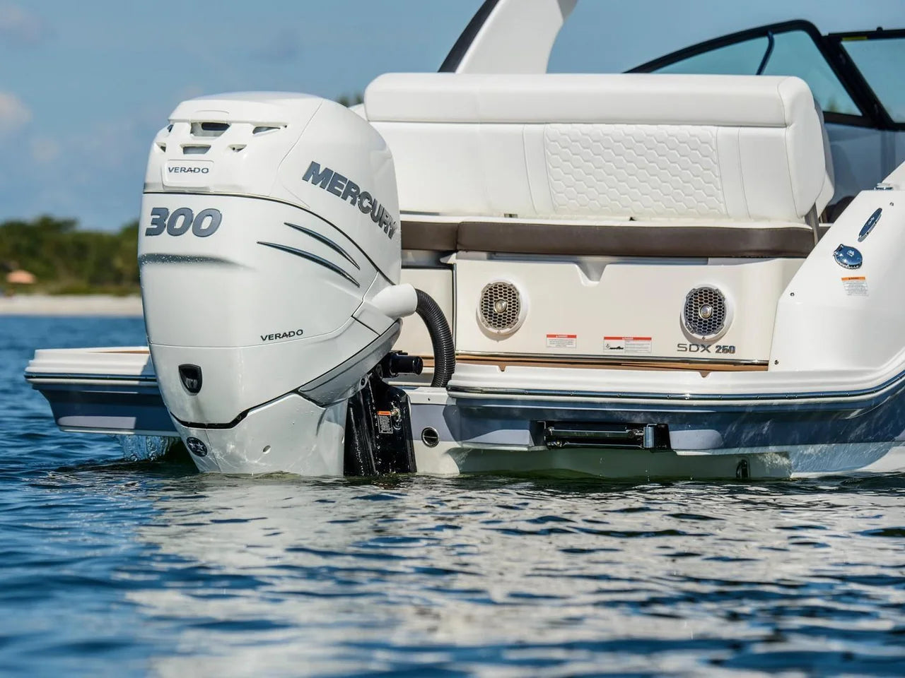 2024 Sea Ray SDX 250 Outboard 25.0 feet, Clearwater, Florida #10