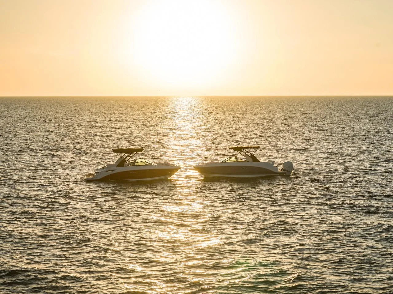 2024 Sea Ray SDX 250 Outboard 25.0 feet, Clearwater, Florida #14