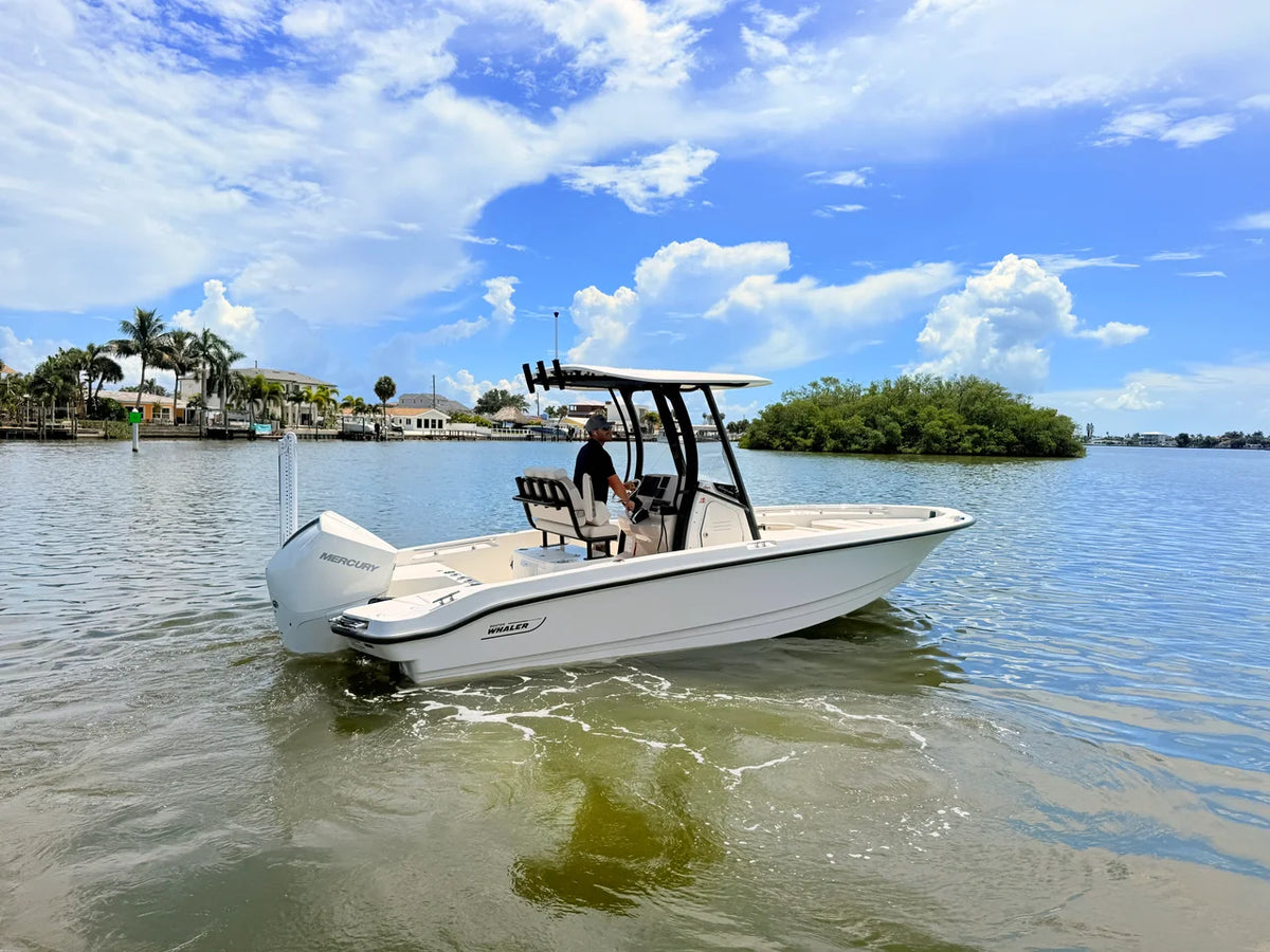 2027 Boston Whaler 220 Dauntless 22.0 feet, St Petersburg, FL #16