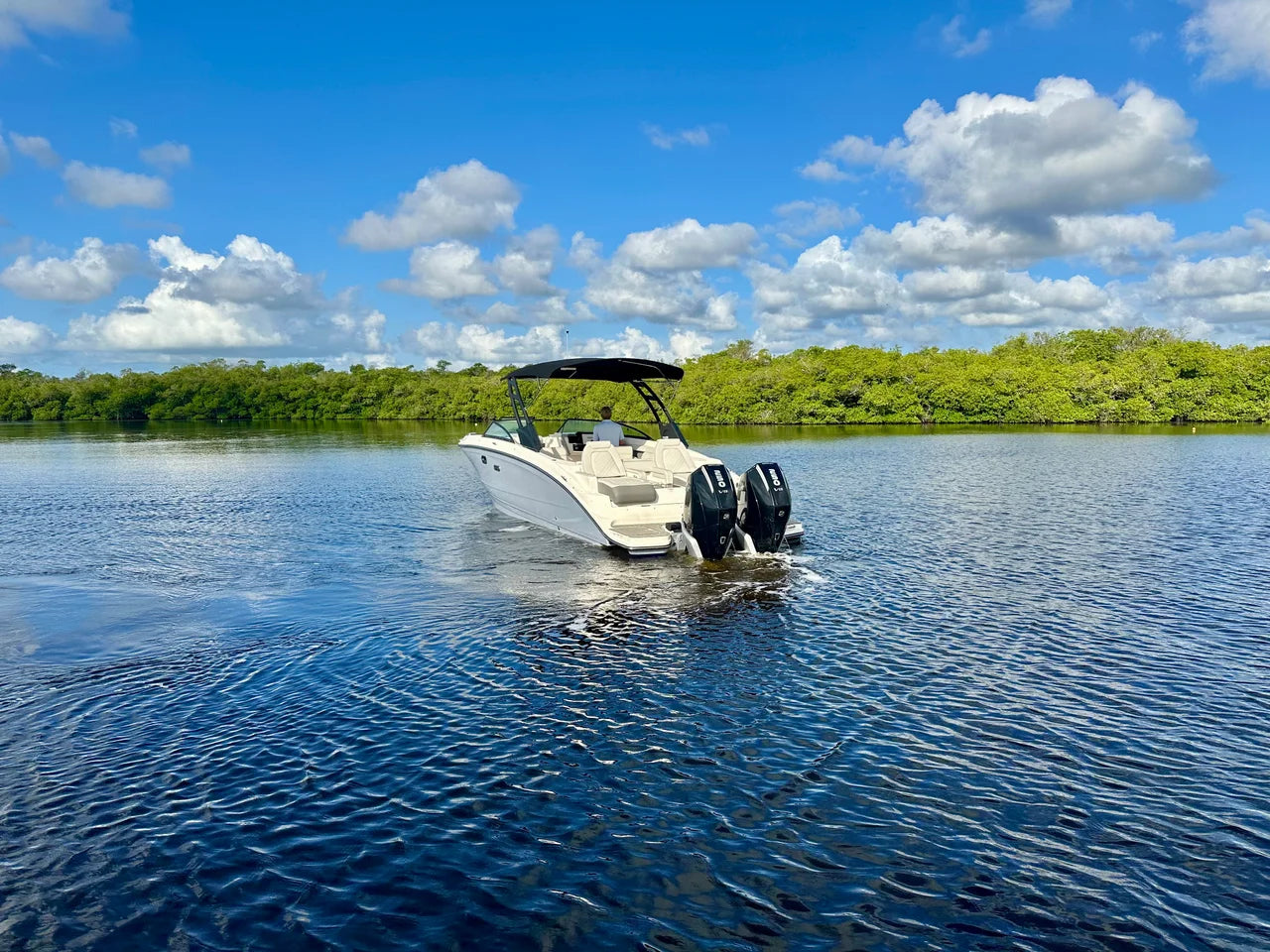 2026 Sea Ray 290 SDX OB 29.0 feet, Fort Myers, FL #7