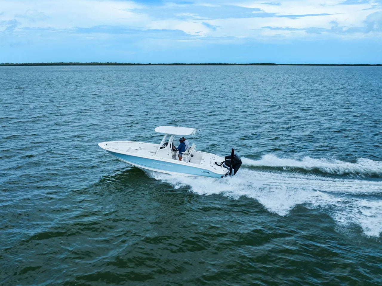 2024 Boston Whaler 250 DAUNTLESS 25.0 feet, St Petersburg, FL #14