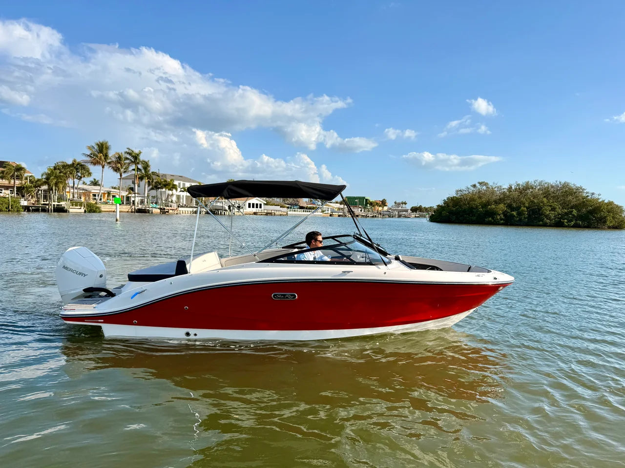 2026 Sea Ray SPX 210 Outboard 21.0 feet, St Petersburg, FL #1
