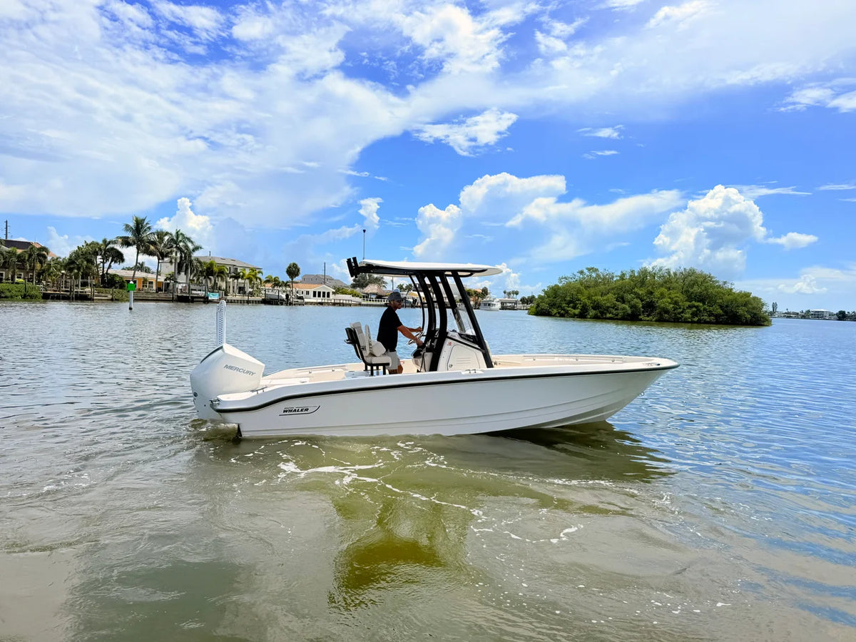 2027 Boston Whaler 220 Dauntless 22.0 feet, St Petersburg, FL #17