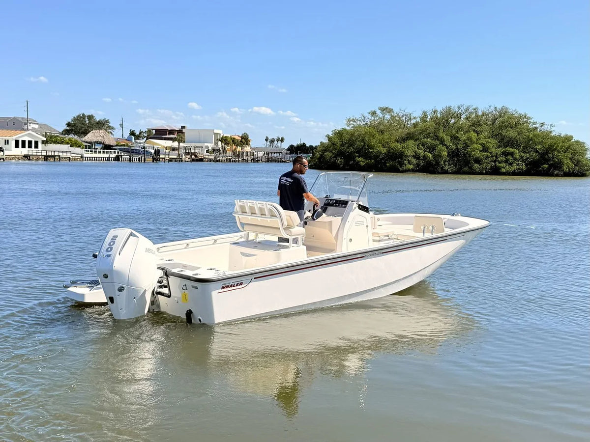 2027 Boston Whaler 210 Montauk 21.0 feet, St Petersburg, FL #7