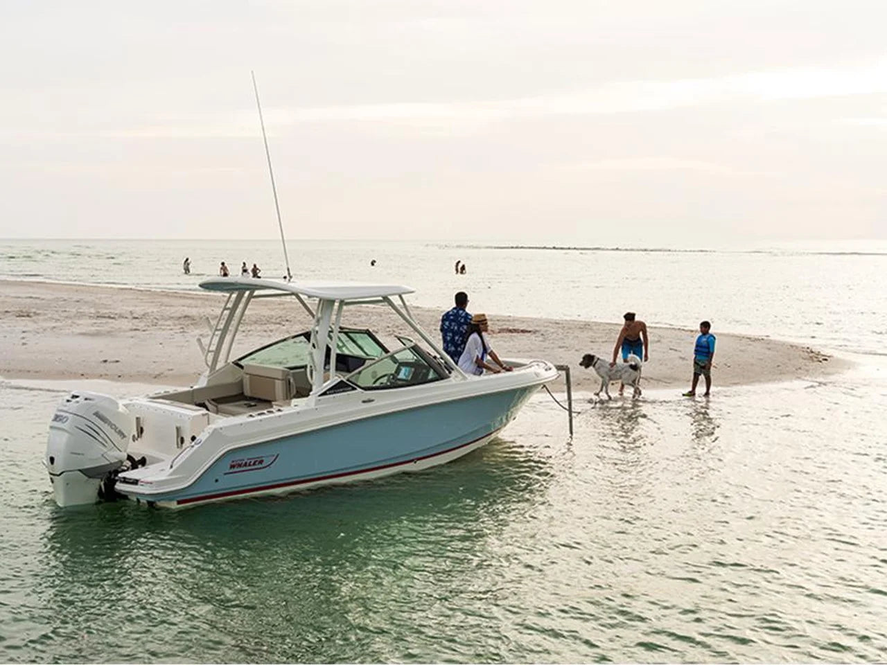 2027 Boston Whaler 240 Vantage 24.0 feet, Pensacola, Florida #3
