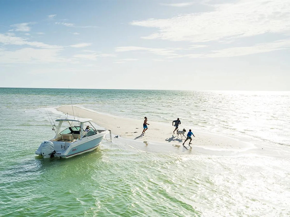 2027 Boston Whaler 240 Vantage 24.0 feet, Pompano Beach, Florida #13