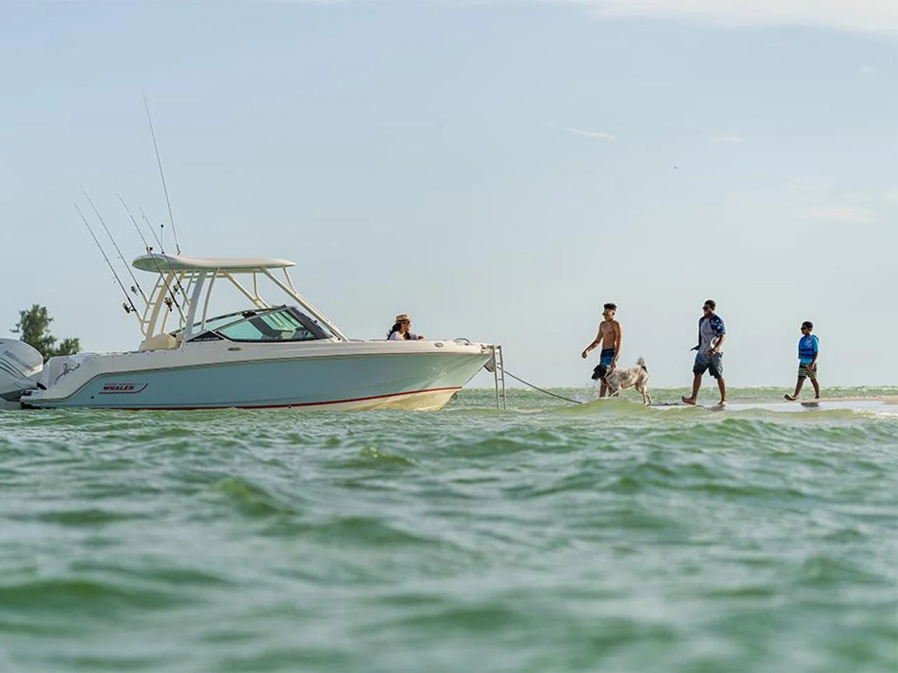 2026 Boston Whaler 240 Vantage 24.0 feet, Naples, Florida #16