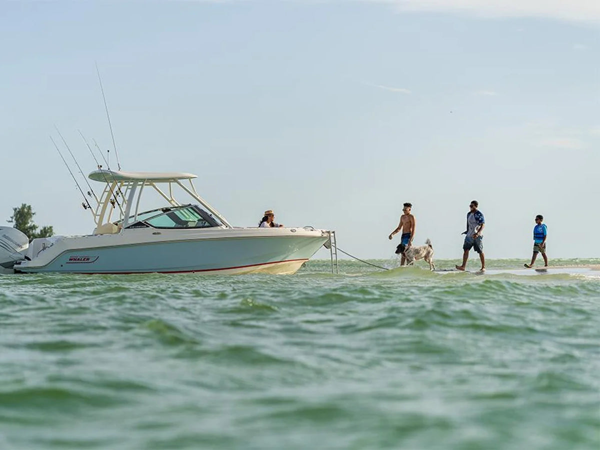 2027 Boston Whaler 240 Vantage 24.0 feet, St Petersburg, FL #16