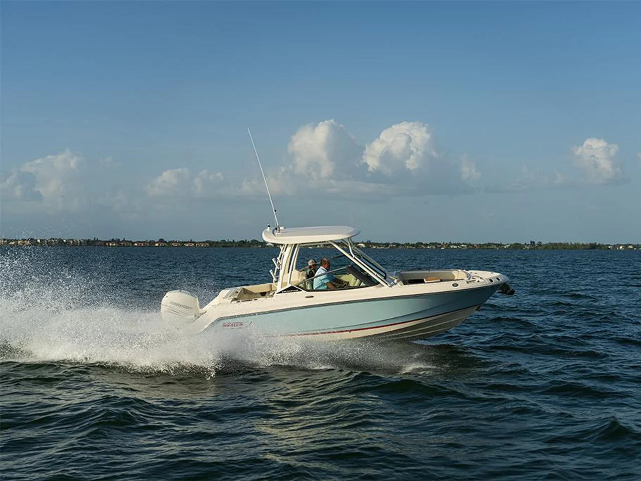 2027 Boston Whaler 240 Vantage 24.0 feet, Pensacola, Florida #21