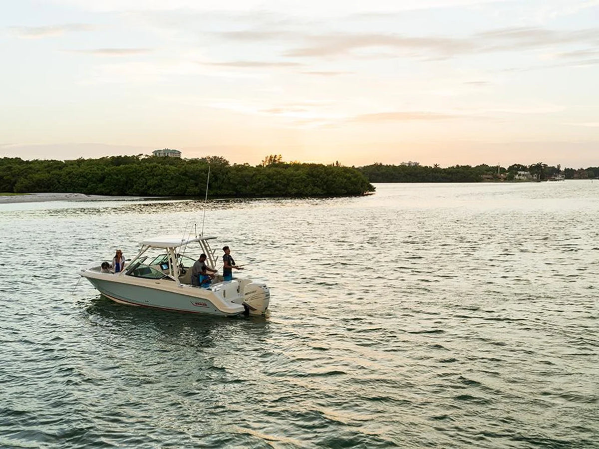 2027 Boston Whaler 240 Vantage 24.0 feet, St Petersburg, FL #31