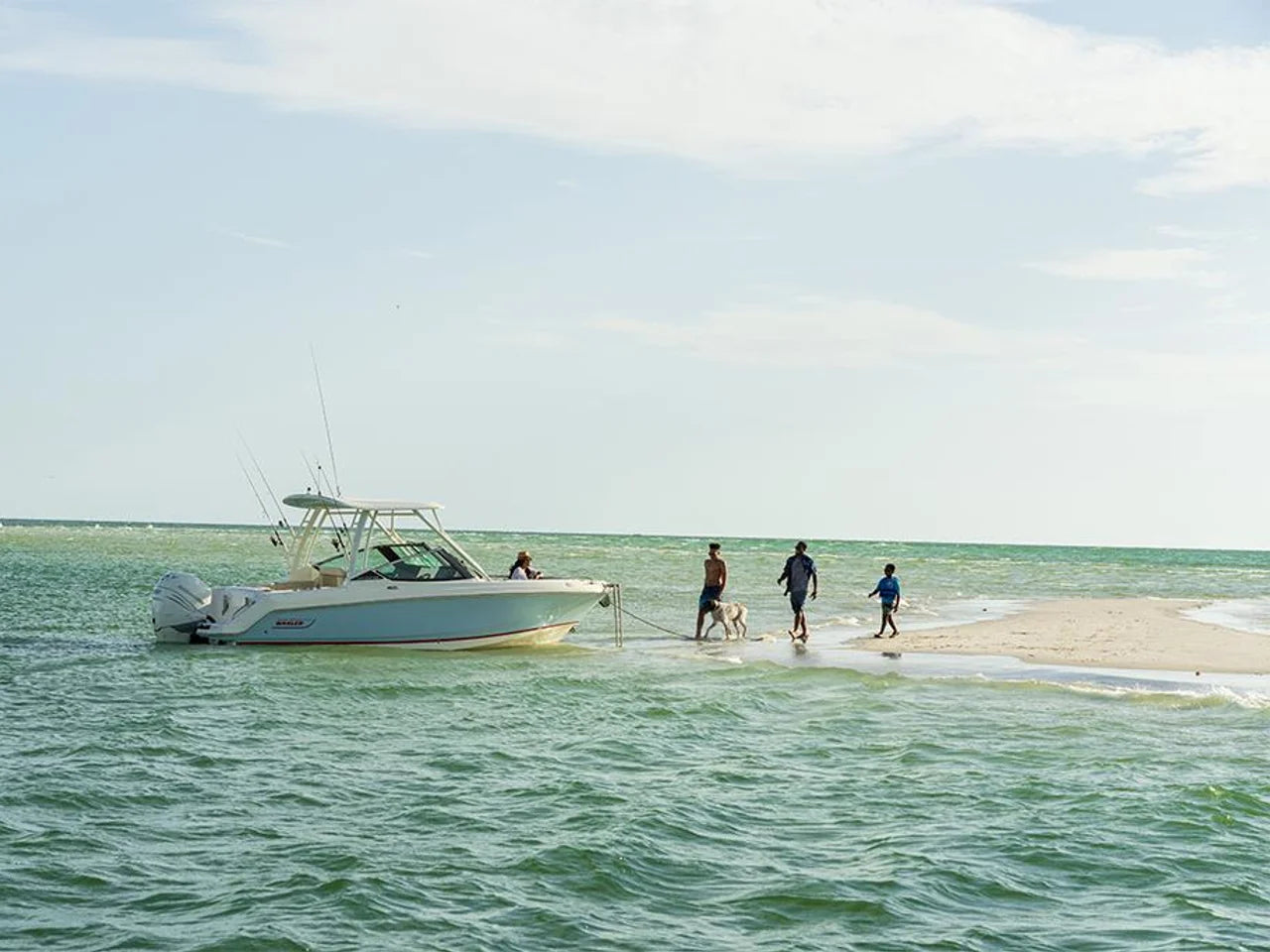 2026 Boston Whaler 240 Vantage 24.0 feet, Naples, Florida #50