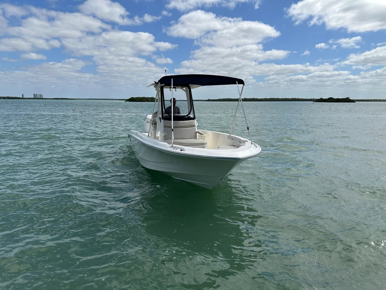2024 Boston Whaler 250 DAUNTLESS 25.0 feet, Naples, Florida #6