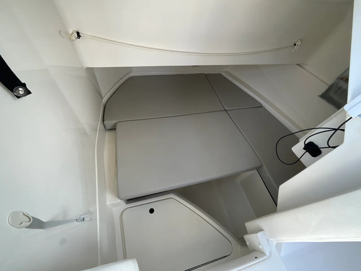 2021 Sea Ray 250 SDX OB 27.0 feet, Jacksonville Beach, Florida #2