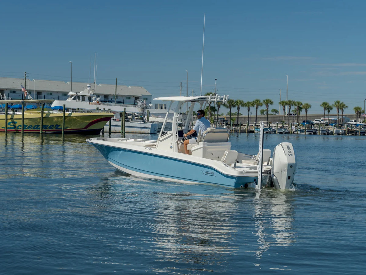 2027 Boston Whaler 250 Dauntless 25.0 feet, Panama City, FL #2