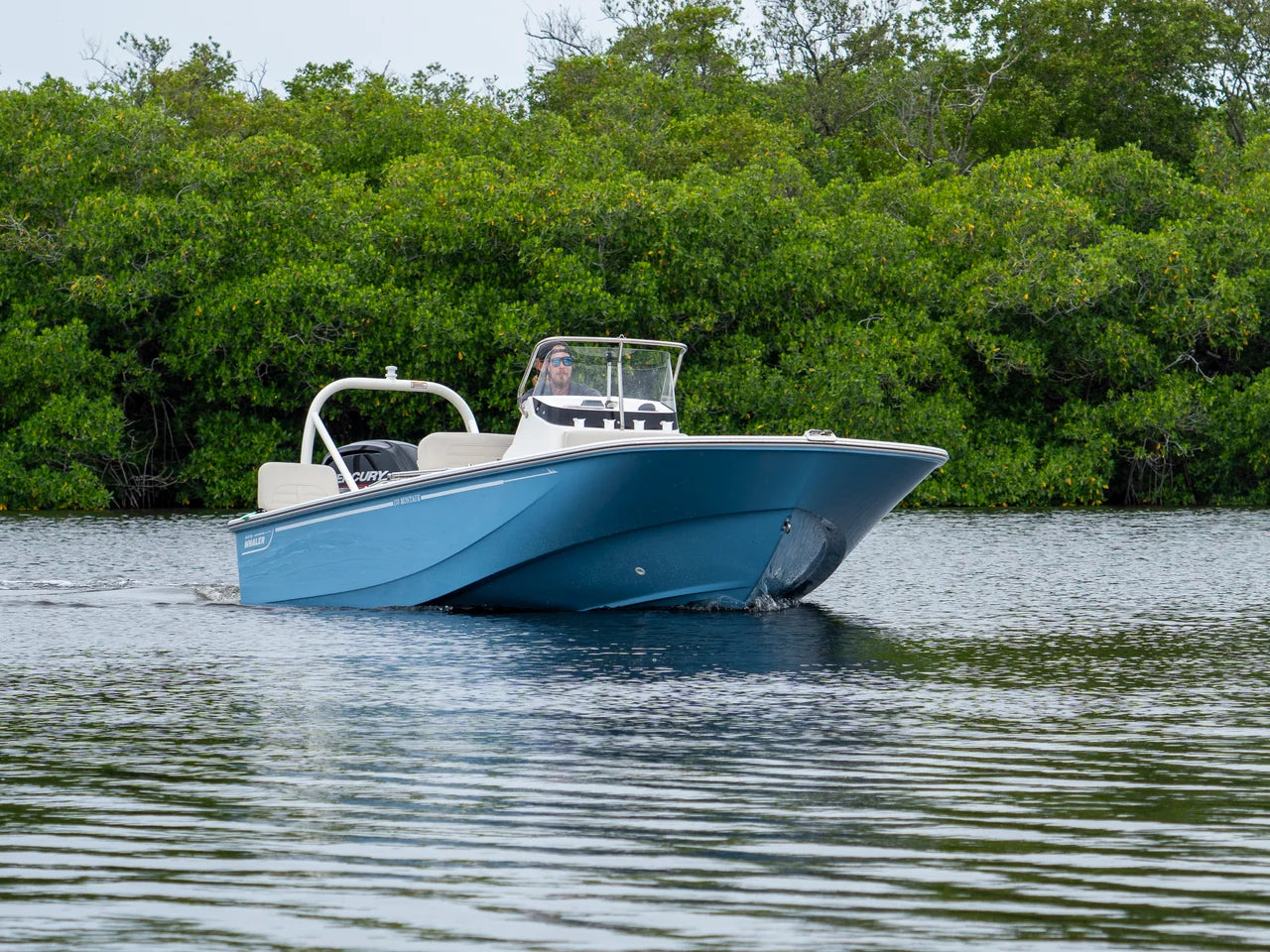 2026 Boston Whaler 170 Montauk 17.0 feet, Fort Myers, FL #14