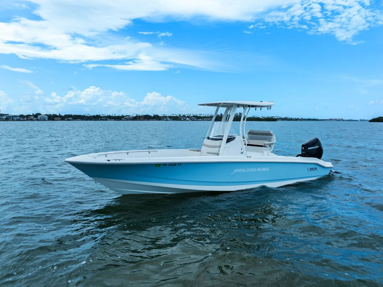2024 Boston Whaler 250 DAUNTLESS 25.0 feet, St Petersburg, FL #1