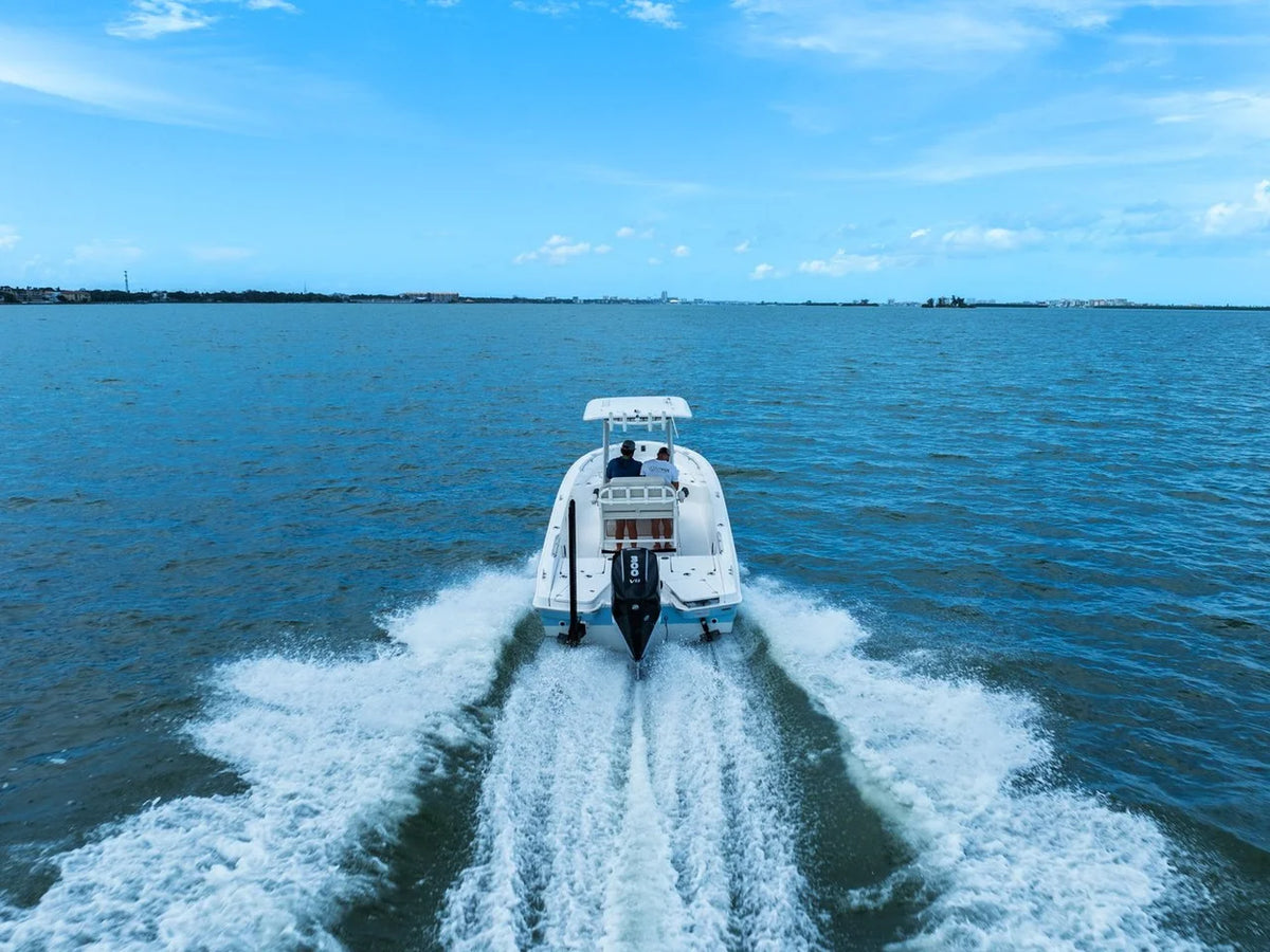 2024 Boston Whaler 250 DAUNTLESS 25.0 feet, St Petersburg, FL #10