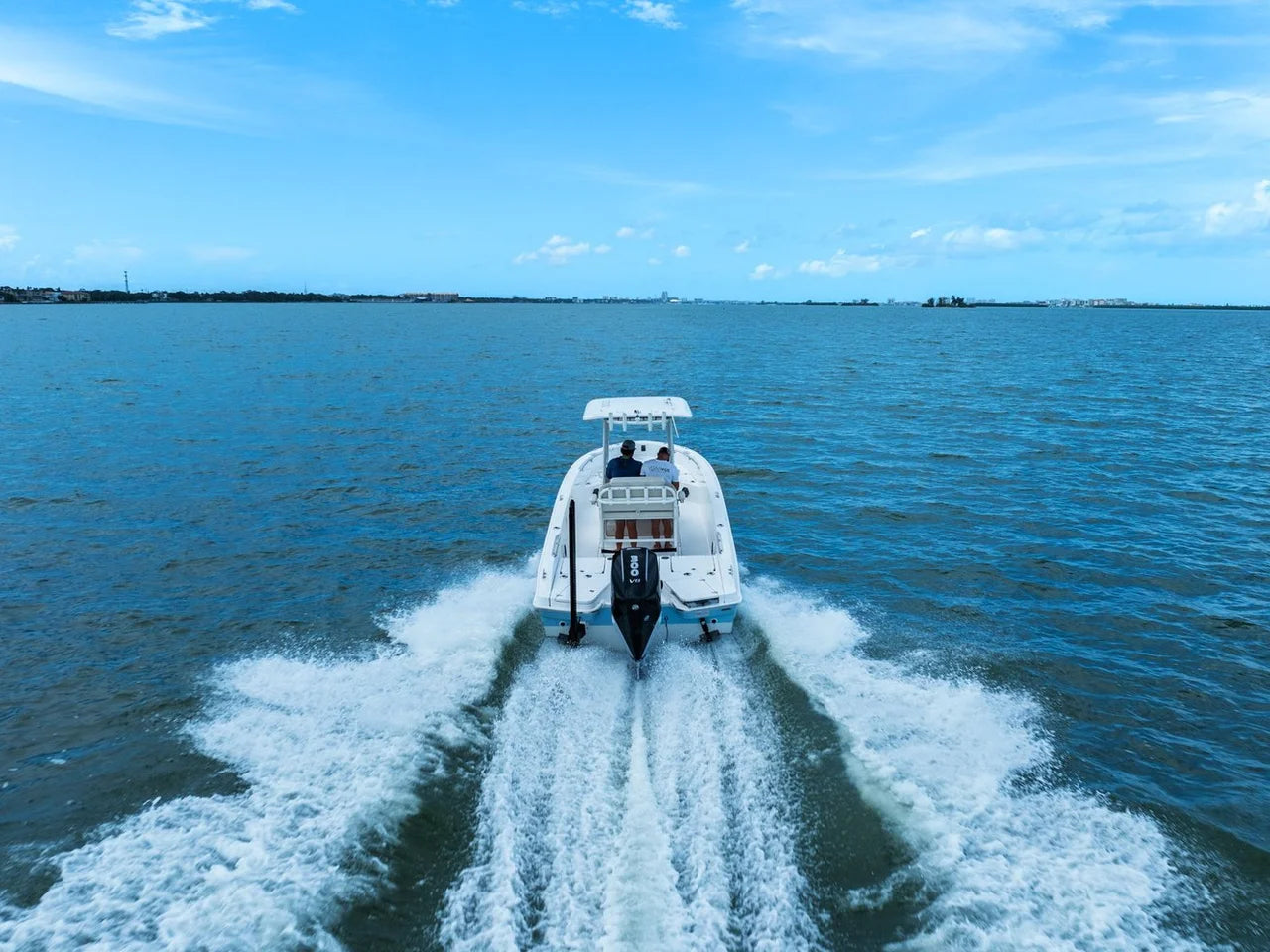 2024 Boston Whaler 250 DAUNTLESS 25.0 feet, St Petersburg, FL #10