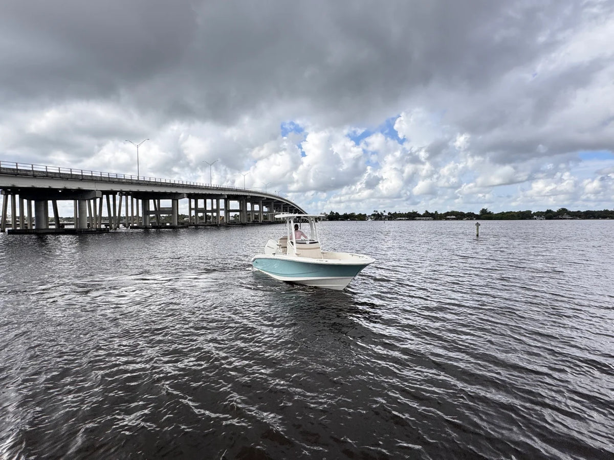 2026 Boston Whaler 250 Dauntless 25.0 feet, Stuart, Florida #4