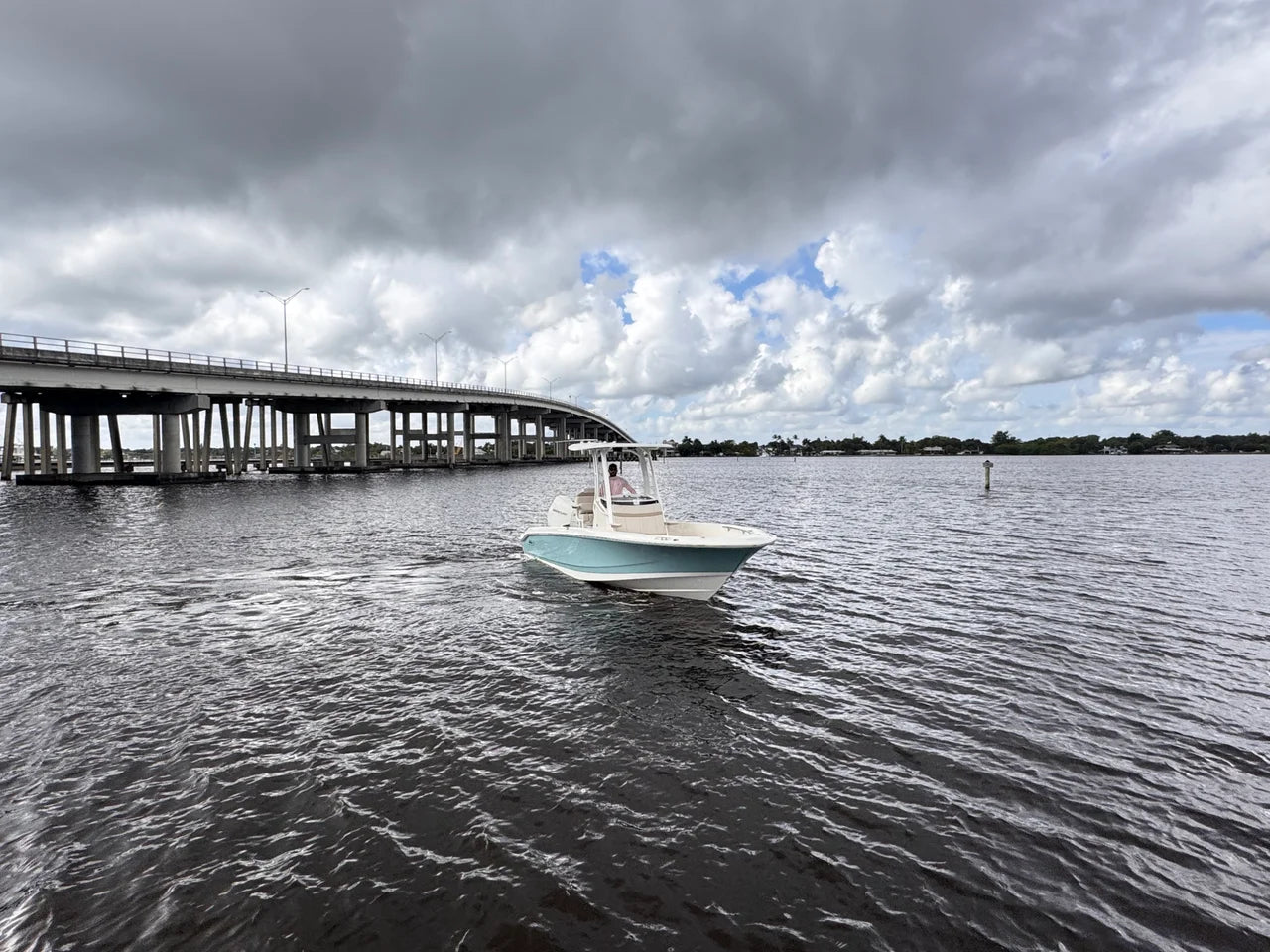 2026 Boston Whaler 250 Dauntless 25.0 feet, Stuart, Florida #4