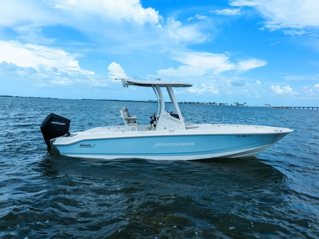 2024 Boston Whaler 250 DAUNTLESS 25.0 feet, St Petersburg, FL #4
