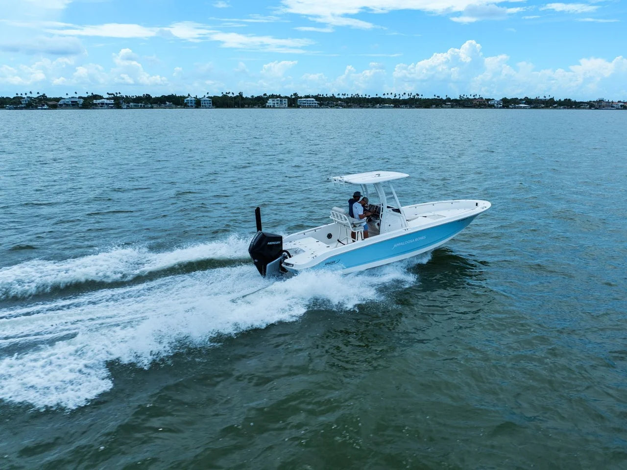 2024 Boston Whaler 250 DAUNTLESS 25.0 feet, St Petersburg, FL #11