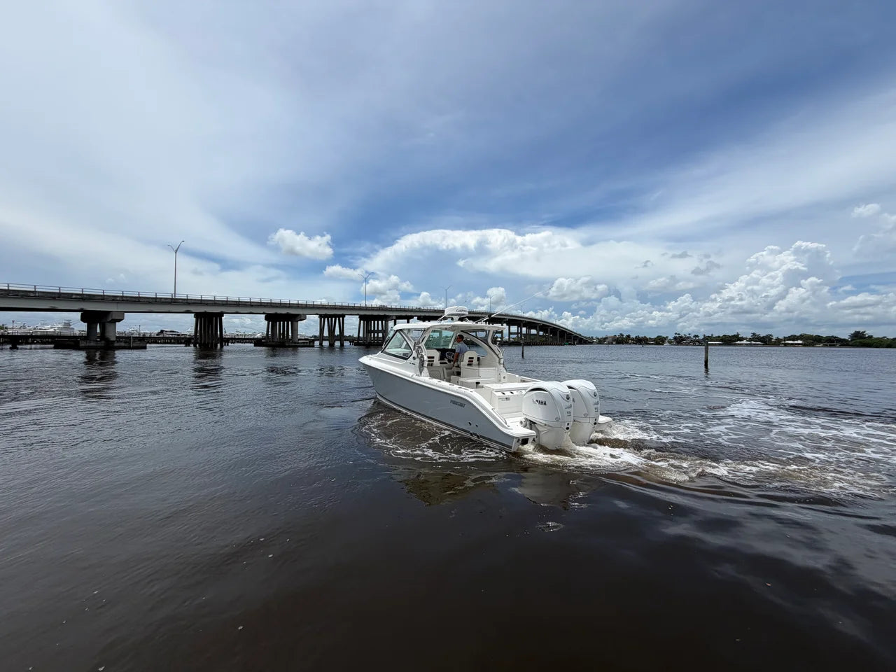 2025 Pursuit 306 DC 30.0 feet, Stuart, Florida #3