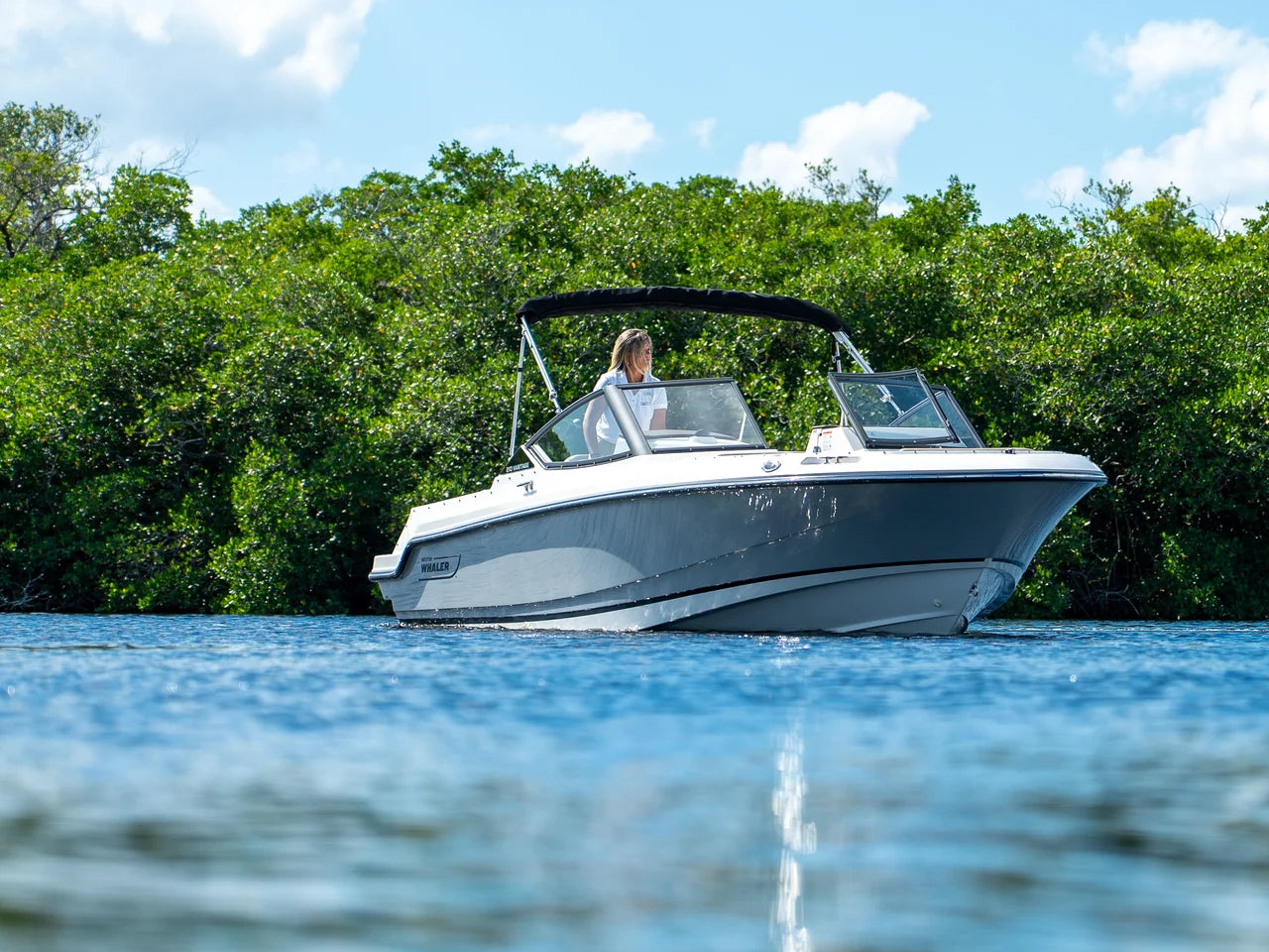 2026 Boston Whaler 210 Vantage 21.0 feet, Fort Myers, FL #21