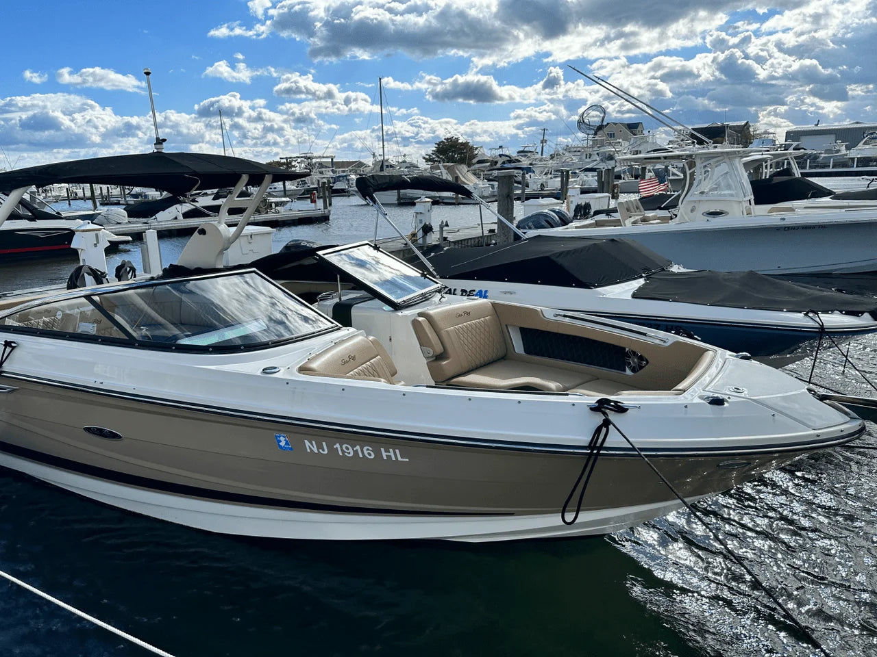 2019 Sea Ray 250 SLX 25.0 feet, Clearwater, Florida #3
