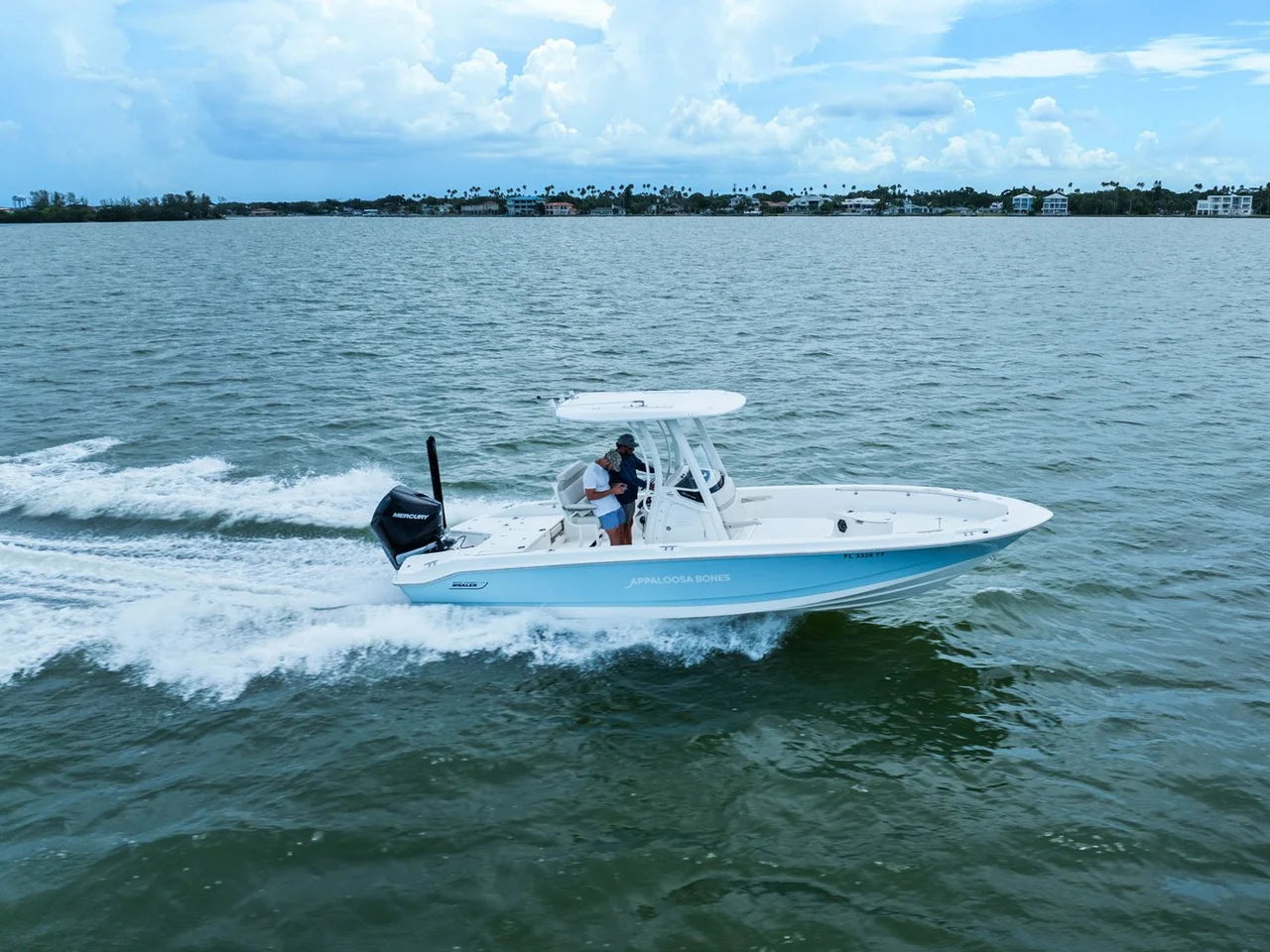 2024 Boston Whaler 250 DAUNTLESS 25.0 feet, St Petersburg, FL #12