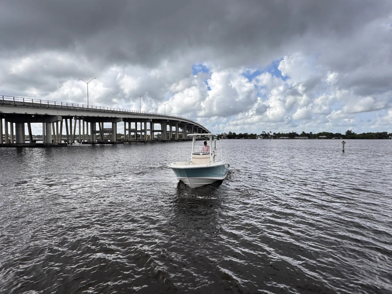 2026 Boston Whaler 250 Dauntless 25.0 feet, Stuart, Florida #5
