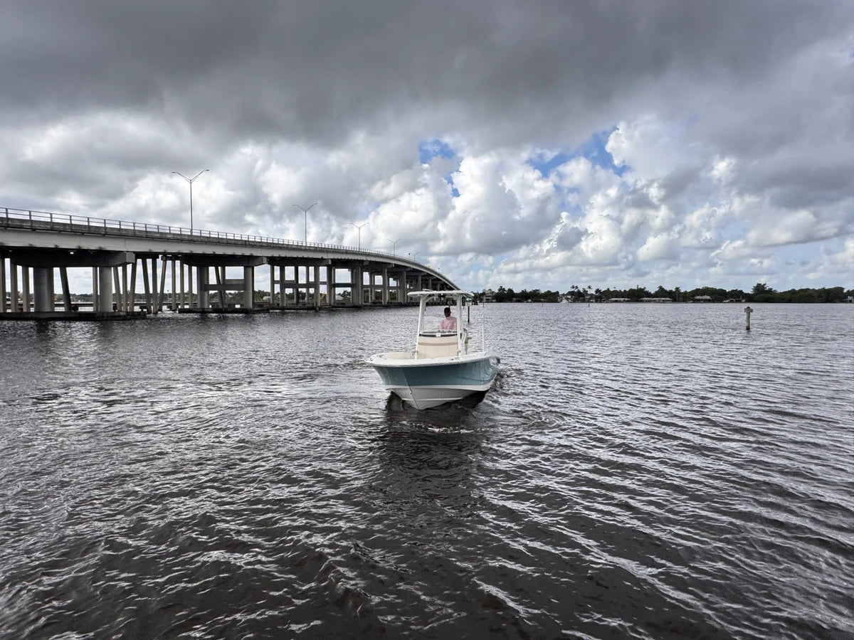 2026 Boston Whaler 250 Dauntless 25.0 feet, Stuart, Florida #5