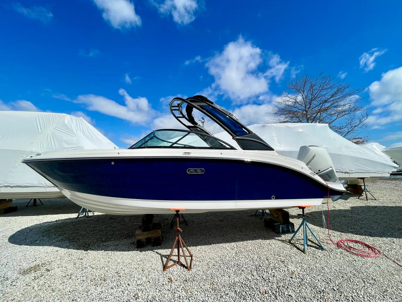 2026 Sea Ray SDX 230 Outboard 23.0 feet, Quincy, MA #1
