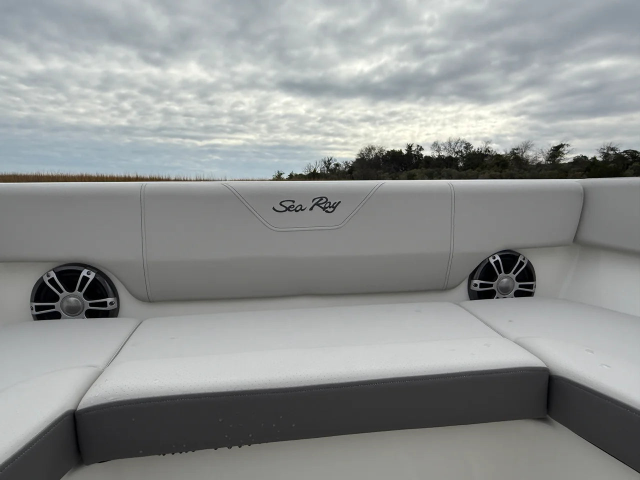 2026 Sea Ray SDX 270 Outboard 27.0 feet, Wrightsville Beach, North Carolina #10