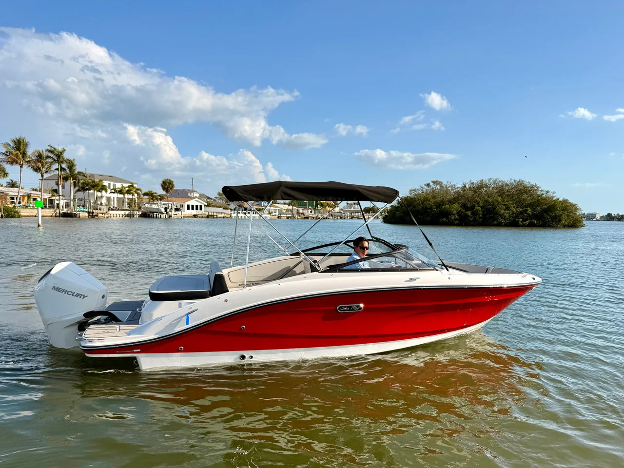 2026 Sea Ray SPX 210 Outboard 21.0 feet, St Petersburg, FL #5