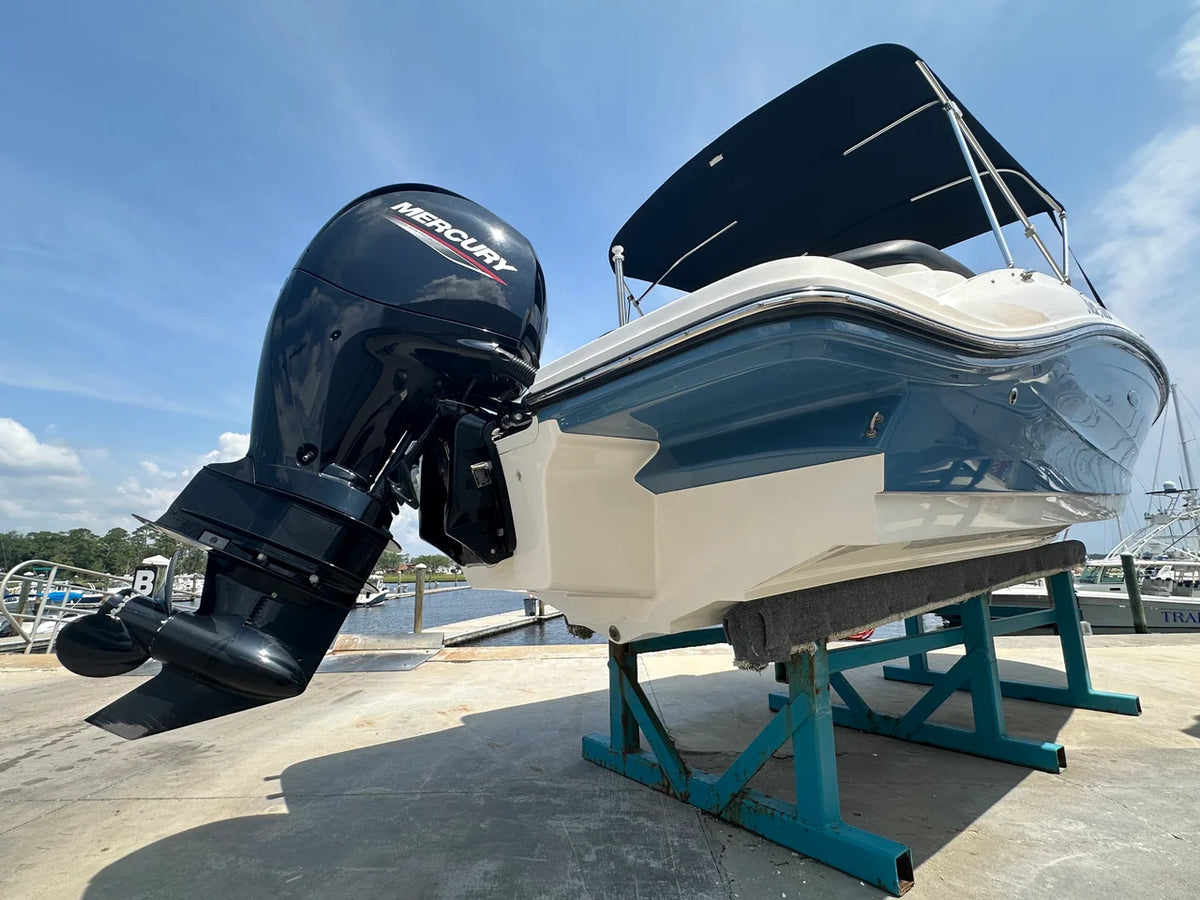 2022 Sea Ray 19 SPX OB 19.0 feet, Jacksonville Beach, Florida #14