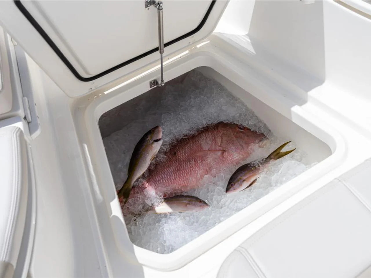 2027 Boston Whaler 280 Dauntless 28.0 feet, Key Largo, FL #71