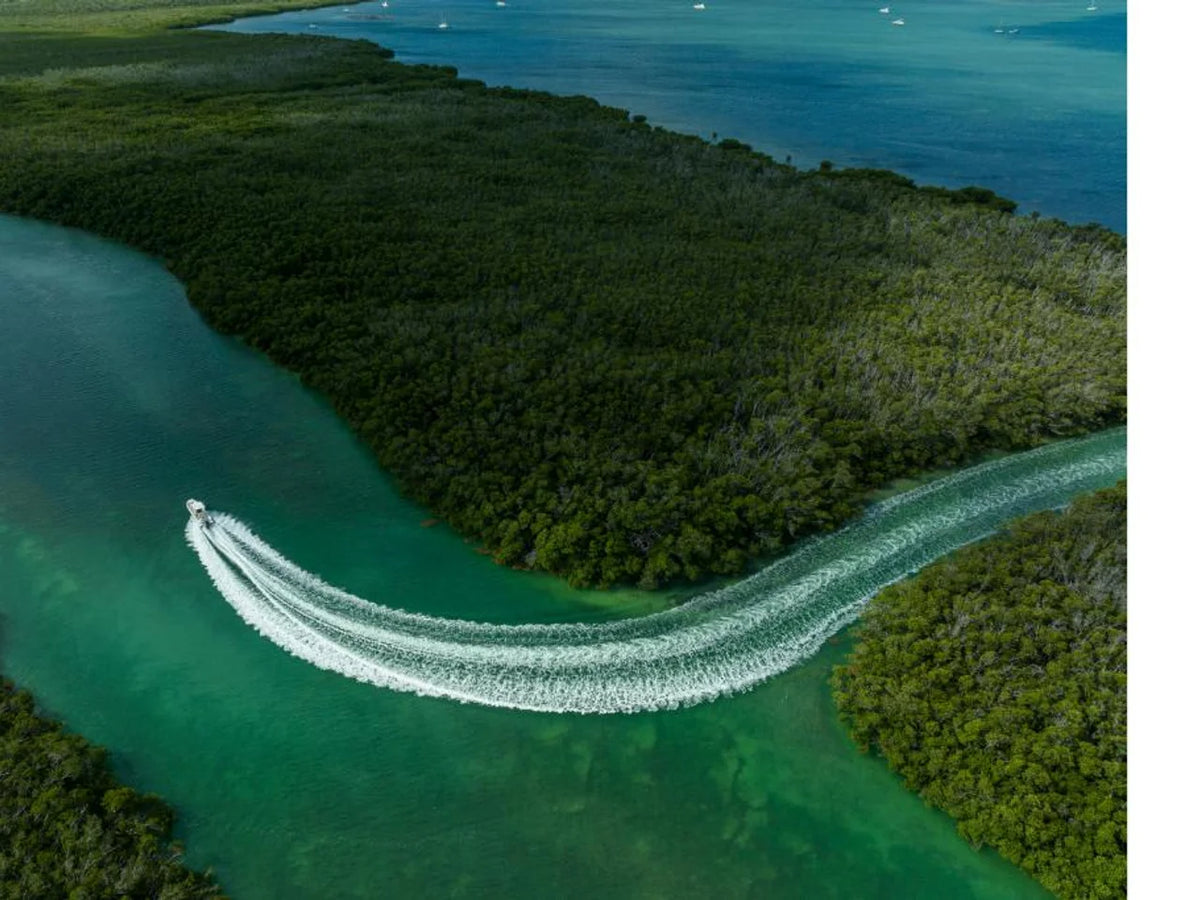 2027 Boston Whaler 280 Dauntless 28.0 feet, Sarasota, FL #114