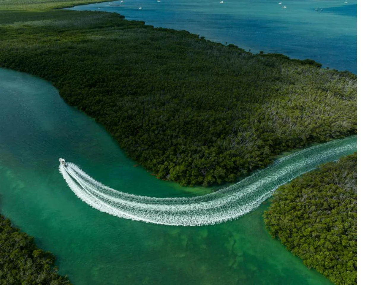 2027 Boston Whaler 280 Dauntless 28.0 feet, Clearwater, Florida #114