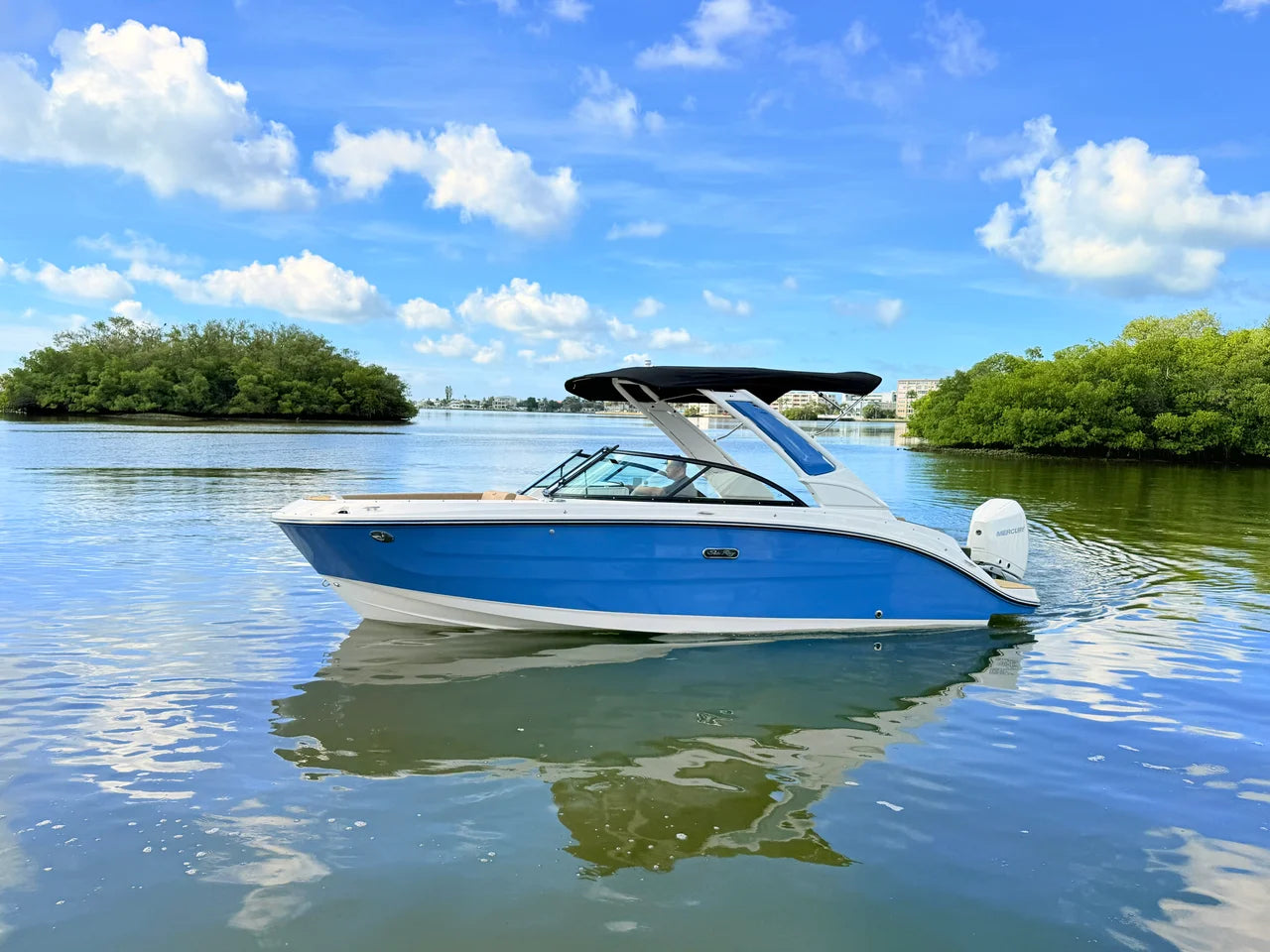 2027 Sea Ray SDX 230 Outboard 23.0 feet, St Petersburg, FL #15