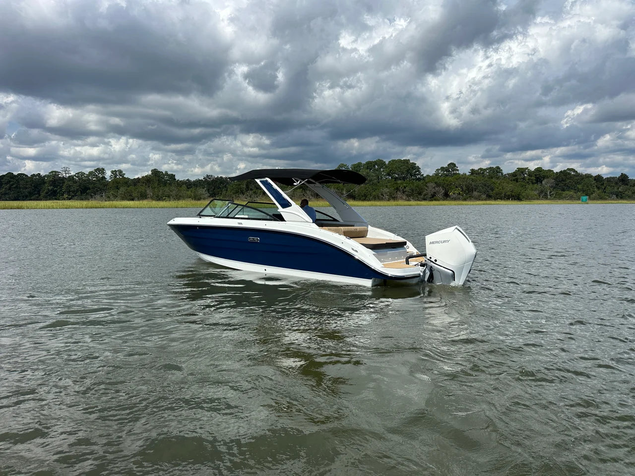 2026 Sea Ray SDX 250 Outboard 25.0 feet, Thunderbolt, GA #11