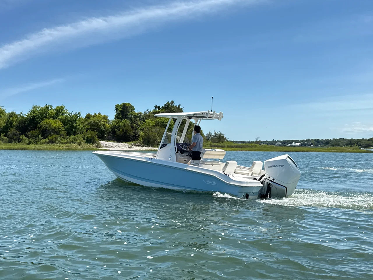 2026 Boston Whaler 250 Dauntless 25.0 feet, Wrightsville Beach, North Carolina #7
