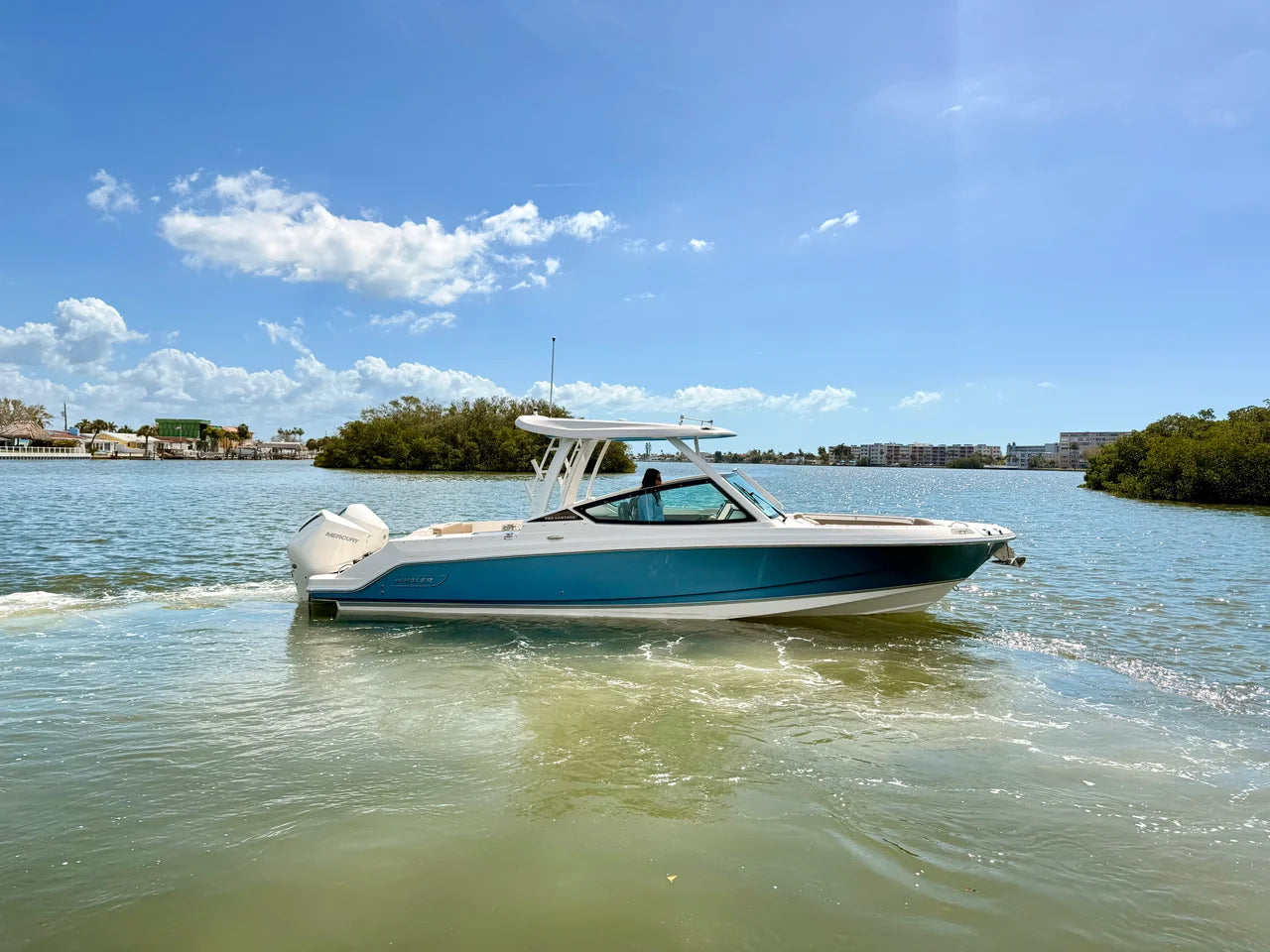 2026 Boston Whaler 280 Vantage 28.0 feet, St Petersburg, FL #3