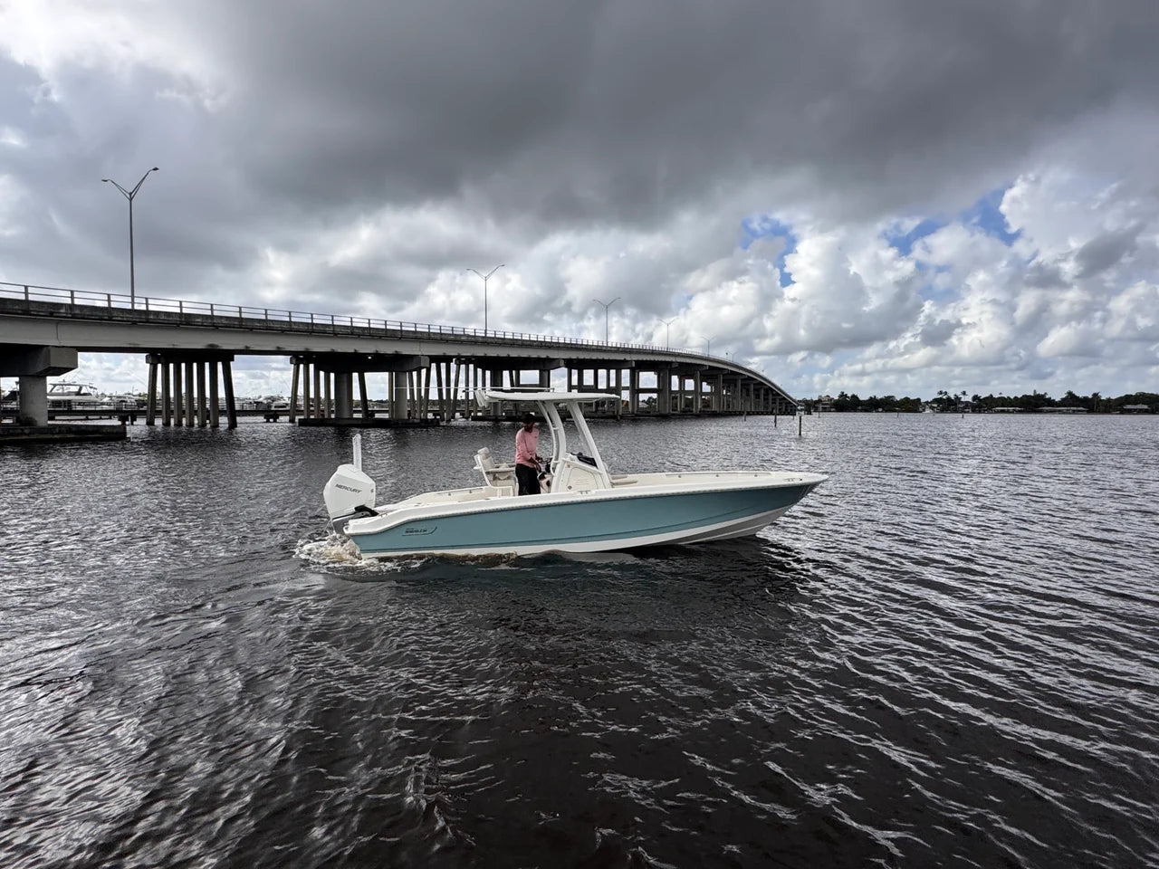 2026 Boston Whaler 250 Dauntless 25.0 feet, Stuart, Florida #3