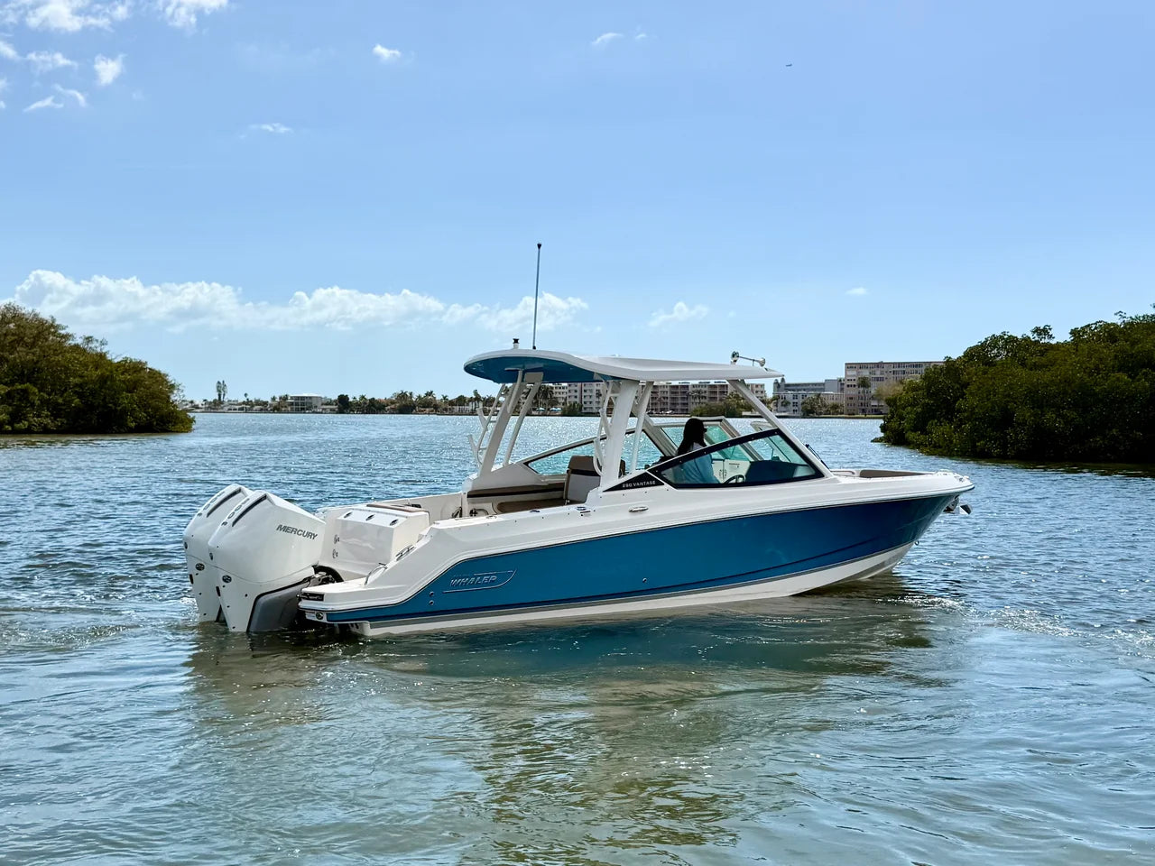 2026 Boston Whaler 280 Vantage 28.0 feet, St Petersburg, FL #9