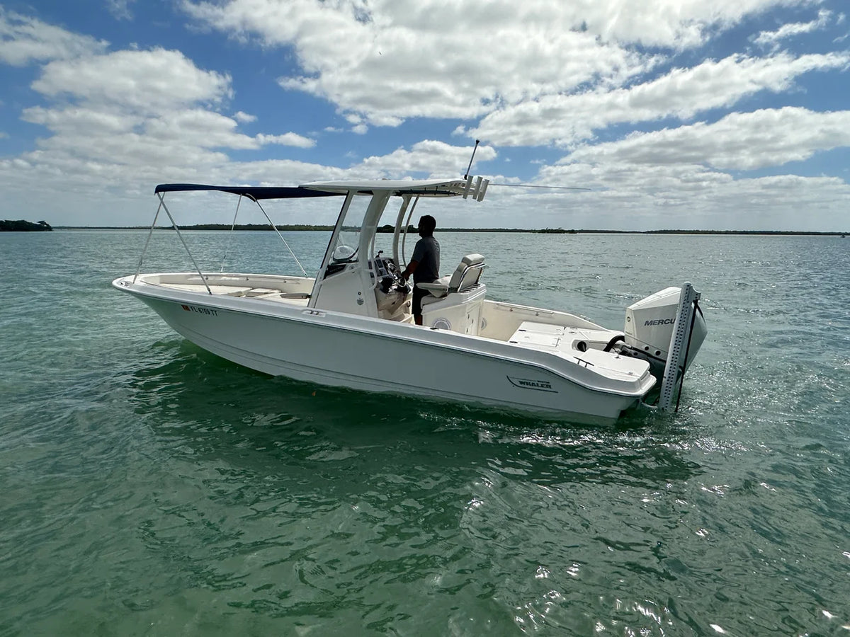 2024 Boston Whaler 250 DAUNTLESS 25.0 feet, Naples, Florida #14