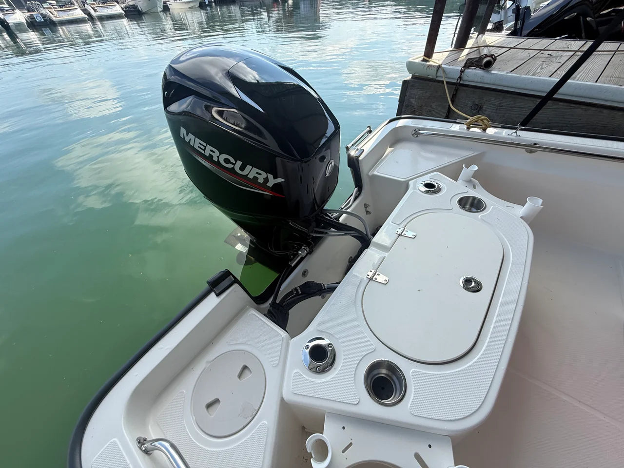 2026 Boston Whaler 150 Montauk 15.0 feet, Cumming, GA #9
