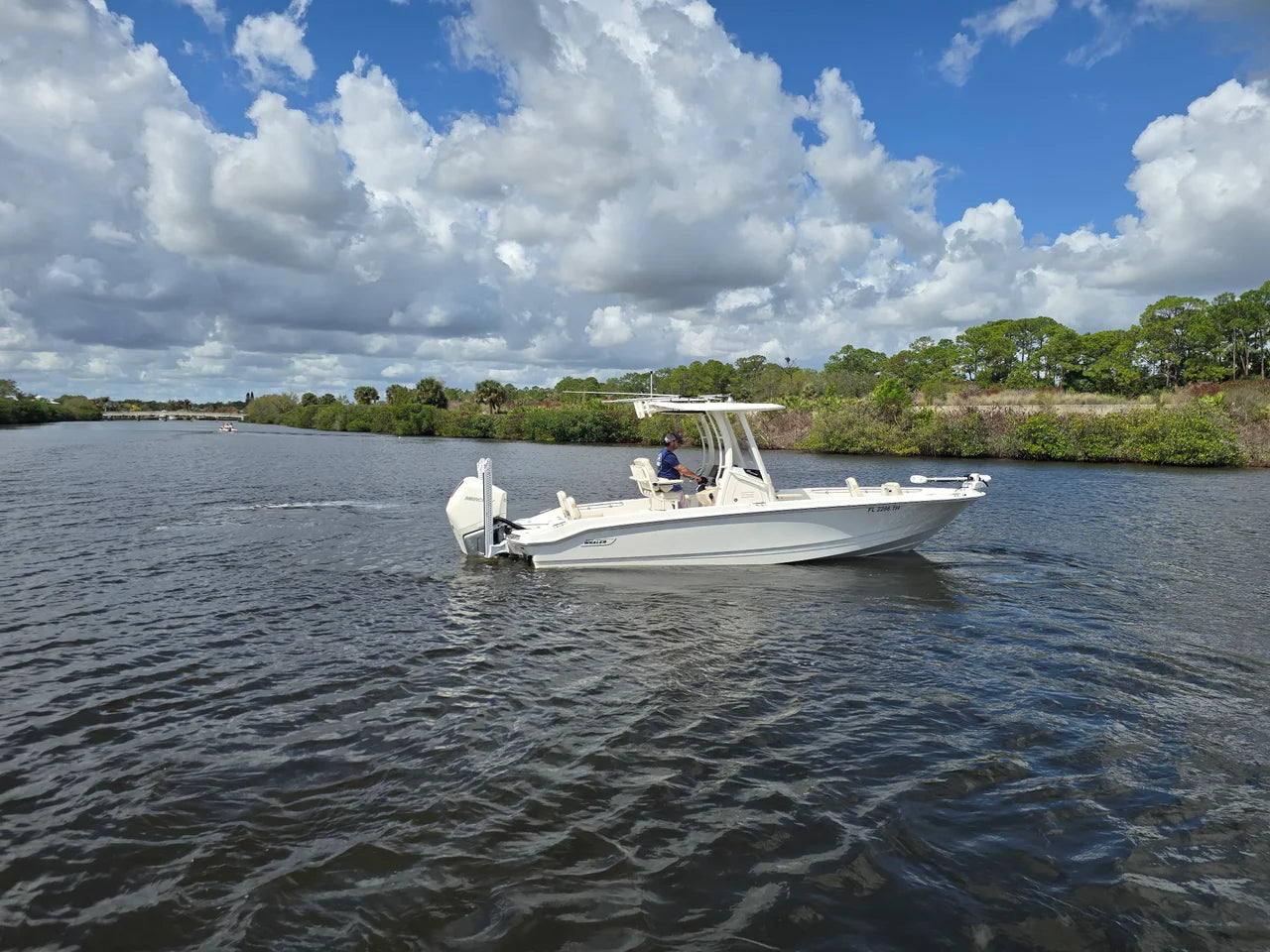 2023 Boston Whaler 250 DAUNTLESS 25.0 feet, Stuart, Florida #3