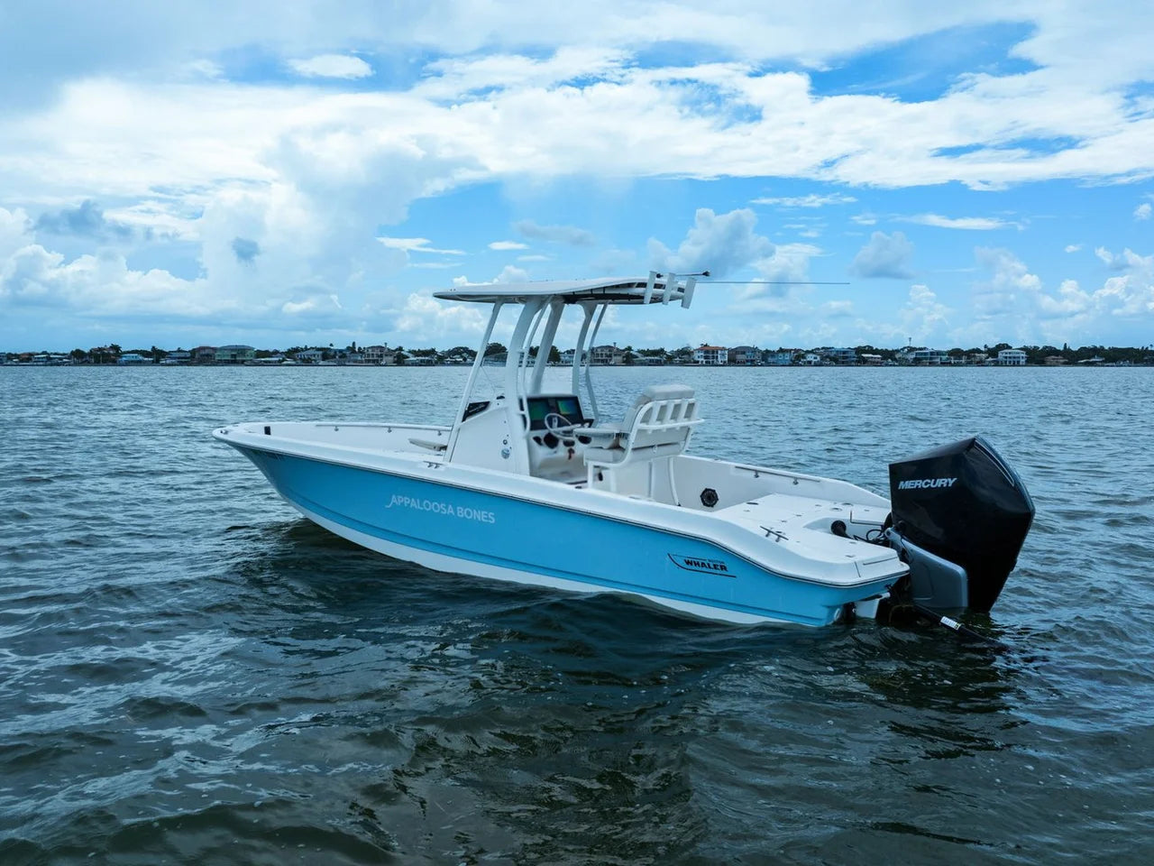 2024 Boston Whaler 250 DAUNTLESS 25.0 feet, St Petersburg, FL #7